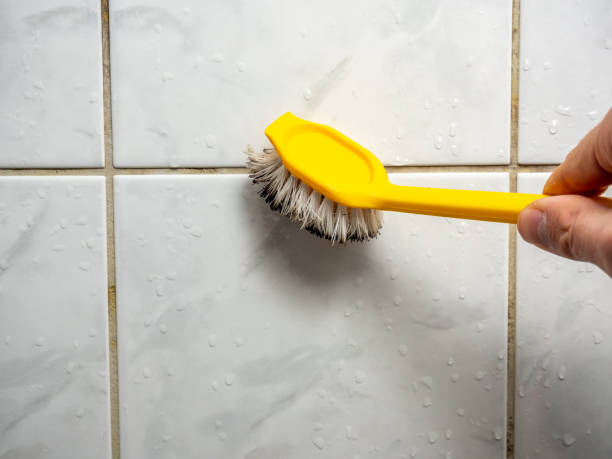 Attic Mold Removal in Whippany, NJ
